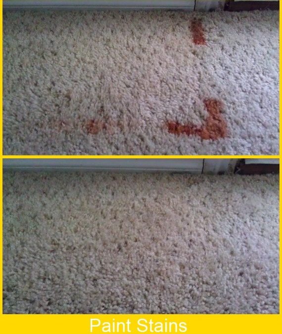 Paint Stained Carpet