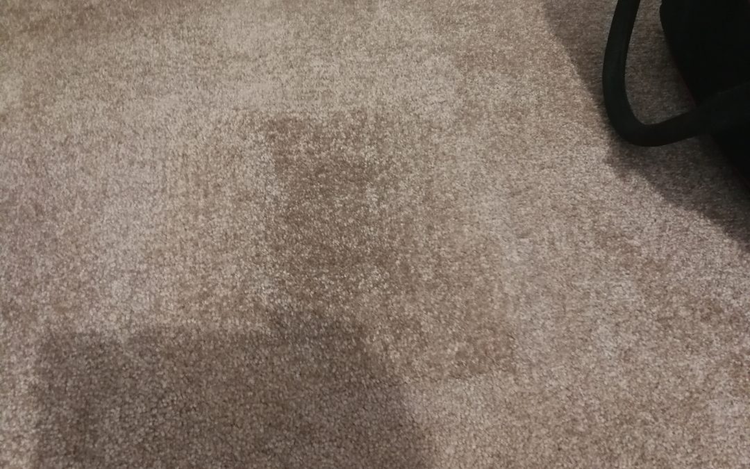 Stain Removal