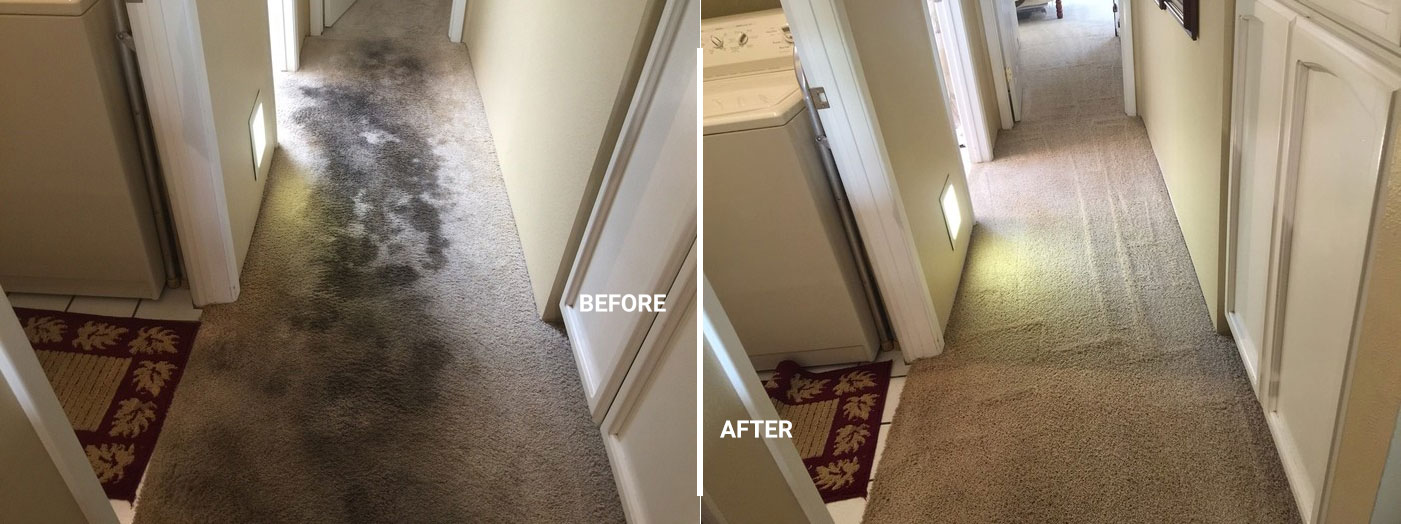 Carpet Cleaning Dallas Carpet Repair